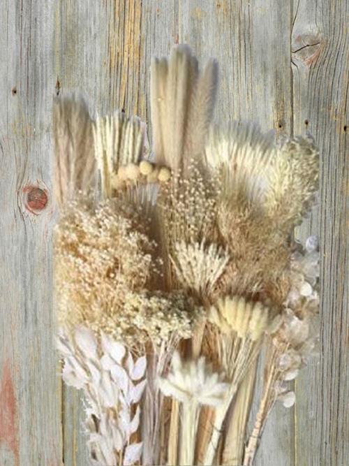 MONOCHROMATIC TINTED BLEACHED DRIED GRASSES AND FILLERS ASSORTED COMBO BOX